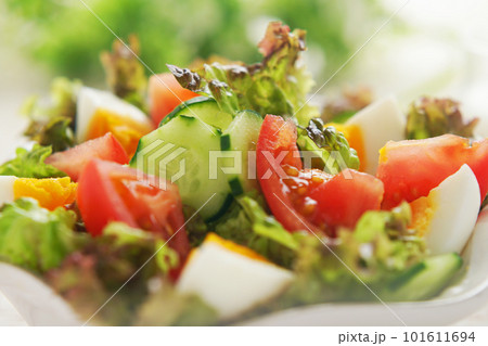 ゆで卵と彩り野菜サラダ ゆで卵と彩り野菜サラダ 101611694
