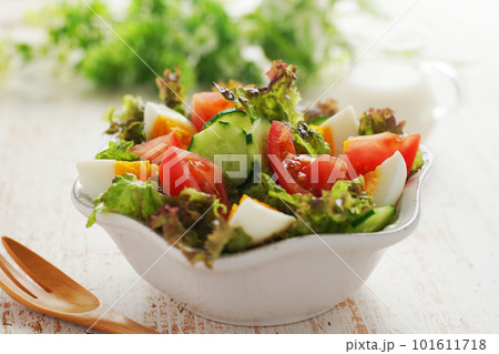 ゆで卵と彩り野菜サラダ 101611718