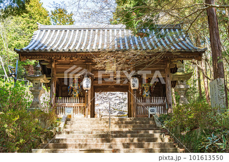 【第八番札所】春の熊谷寺　中門【四国八十八箇所】 101613550