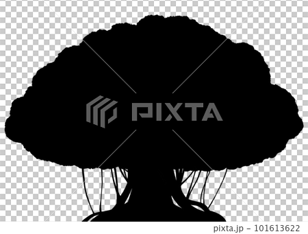 榕樹剪影 101613622