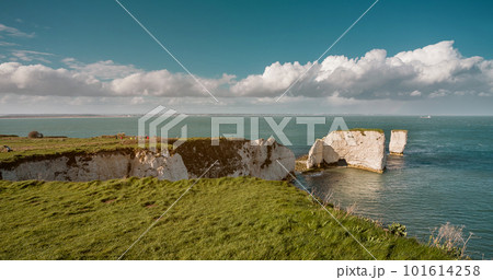 Old Harry Rocks, Jurassic Coast Dorset, UK. Popular sightseeing destination of white cliffs on the beach coast Old Harry Rocks, Jurassic Coast Dorset, UK. Popular sightseeing destination of white cliffs on the beach coast 101614258