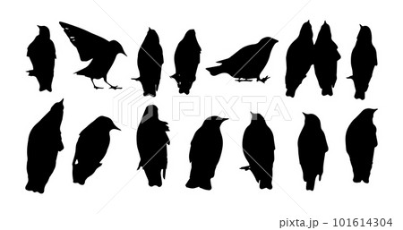 Birds on a wire. Silhouettes of sitting starlings. Birds set . Vector illustration Birds on a wire. Silhouettes of sitting starlings. Birds set . Vector illustration 101614304