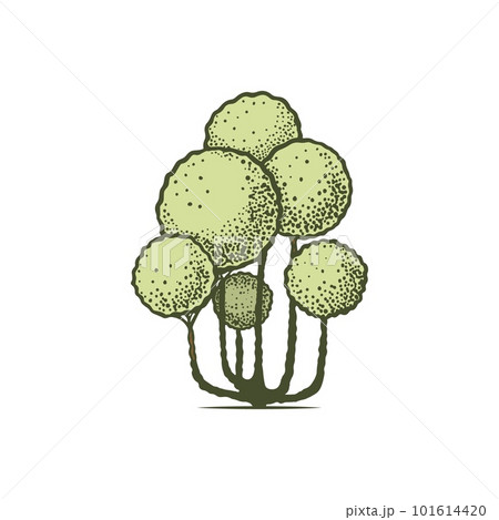 Topiary pictogram vector sketch shearing plants icon 5 Topiary pictogram vector sketch shearing plants icon 5 101614420