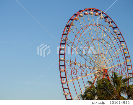 Ferris wheel against the sky. Amusement park on the sea. Rest zone. Ferris wheel. 101614936