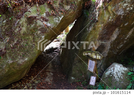 秩父札所第32番 法性寺 秩父札所第32番 法性寺 101615114