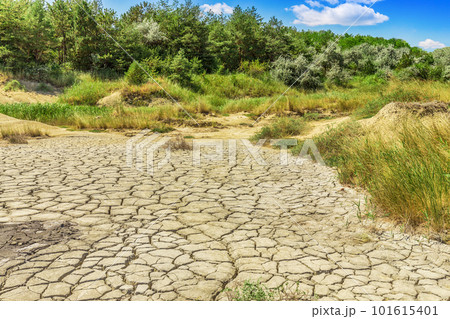 Lake bed drying up 101615401