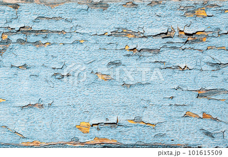 Wood background 101615509