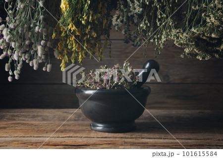 Hanging bunches of medicinal herbs, black stone mortar of healing dried thyme plants. Alternative herbal medicine. Hanging bunches of medicinal herbs, black stone mortar of healing dried thyme plants. Alternative herbal medicine. 101615584