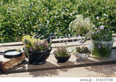 Mortars of thyme medicinal herbs, old book and loupe, bunch of healing plants on a wooden board outdoors. Alternative herbal medicine. 101615586