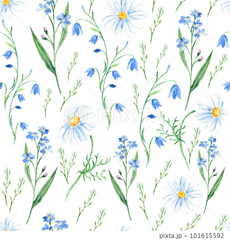 Seamless watercolor pattern with wildflowers bluebell, forget-me-not, camomile on white background. Can be used for fabric prints, gift wrapping paper, kitchen textile. Seamless watercolor pattern with wildflowers bluebell, forget-me-not, camomile on white background. Can be used for fabric prints, gift wrapping paper, kitchen textile. 101615592