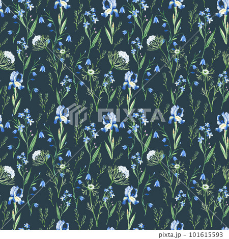 Seamless watercolor pattern with wildflowers bluebell, forget-me-not, iris, Queen Annes lace on dark blue background. Can be used for fabric prints, gift wrapping paper, kitchen textile. 101615593