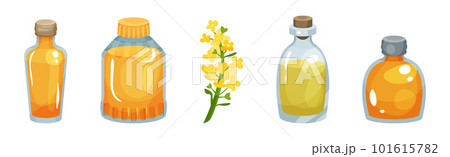 Vegetarian Rapeseed Oil Glass Bottles with Cork Vector Set Vegetarian Rapeseed Oil Glass Bottles with Cork Vector Set 101615782