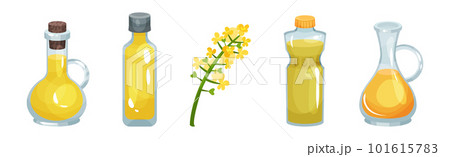 Vegetarian Rapeseed Oil Glass Bottles with Cork Vector Set Vegetarian Rapeseed Oil Glass Bottles with Cork Vector Set 101615783
