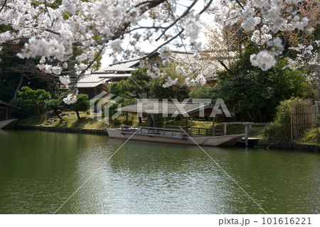 春の大沢池 屋形船 京都市右京区嵯峨 春の大沢池 屋形船 京都市右京区嵯峨 101616221