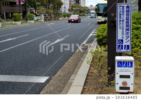 歩行者横断用ボタン　青信号延長用ボタン 101616485