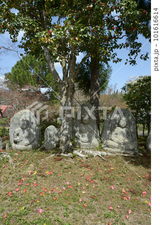 春の大沢池 石仏群 京都市右京区嵯峨 春の大沢池 石仏群 京都市右京区嵯峨 101616614