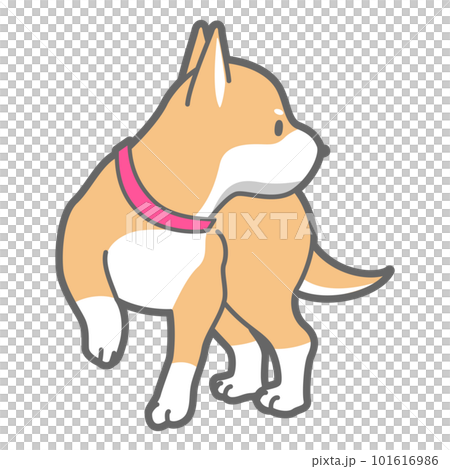 振り返る柴犬のベクターイラスト 101616986