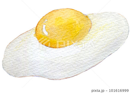 目玉焼き　水彩イラスト　手書きイラスト 101616999