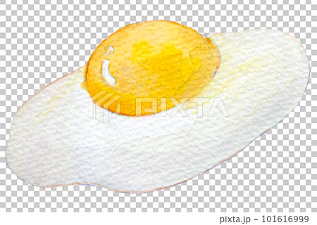 Fried egg watercolor illustration hand-drawn illustration 101616999