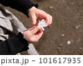 桜の花を持つ子どもの手 101617935