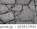 古い石畳 101617942