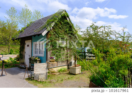 春のローザンベリー多和田　イングリッシュガーデン 101617961