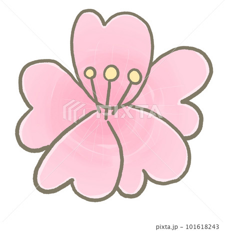 R:春うららときめく季節☆さくらの花びら R:春うららときめく季節☆さくらの花びら 101618243