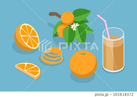 3D Isometric Flat Vector Set of Orange Fruit 101618372