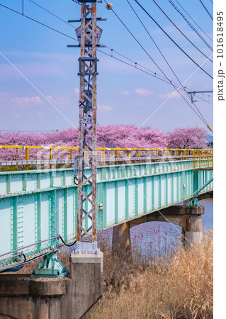 桜のある風景 桜のある風景 101618495