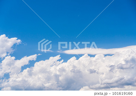 爽やかな春の青空 爽やかな春の青空 101619160