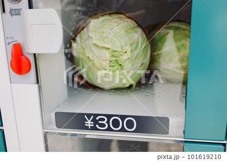 ロッカー式の無人野菜直売 101619210