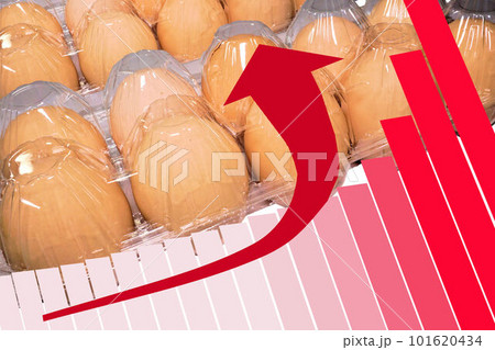 卵価高騰 卵価高騰 101620434