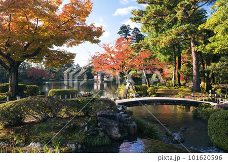 紅葉の兼六園の虹橋と徽軫灯籠 101620596