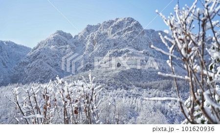 雪化粧した晴天の山と樹氷 雪化粧した晴天の山と樹氷 101620936