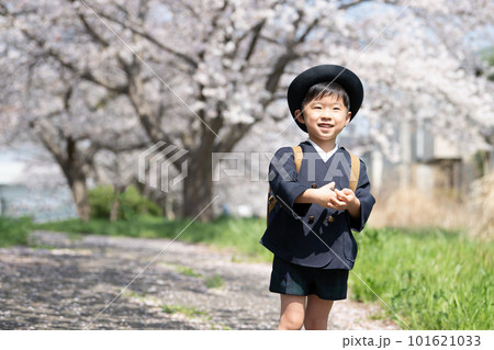 桜の咲く道を歩く幼稚園の制服を着た幼児 101621033