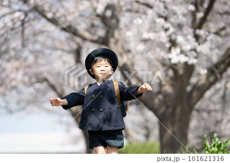 桜の咲く道を走る幼稚園の制服を着た幼児 桜の咲く道を走る幼稚園の制服を着た幼児 101621316