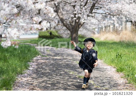 桜の咲く道を走る幼稚園の制服を着た幼児 101621320