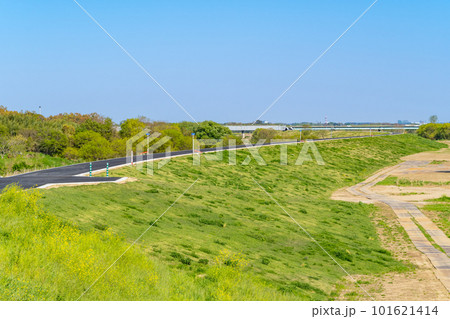 河川敷の堤防整備 整備された入間川流域 2023.04　a-1 101621414