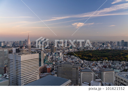 《東京都》東京都心の夕暮れ・新宿副都心からの眺め 《東京都》東京都心の夕暮れ・新宿副都心からの眺め 101621552