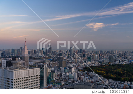 《東京都》東京都心の夕暮れ・新宿副都心からの眺め 《東京都》東京都心の夕暮れ・新宿副都心からの眺め 101621554