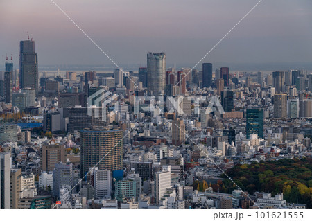 《東京都》東京都心の夕暮れ・新宿副都心からの眺め 101621555