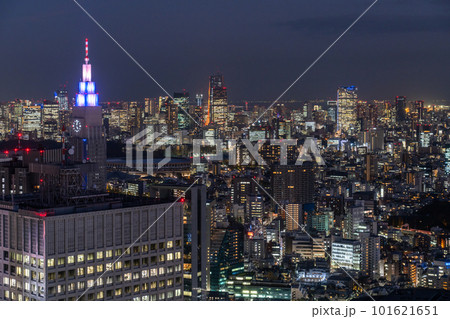 《東京都》東京都心の夜景・新宿副都心からの眺め 101621651