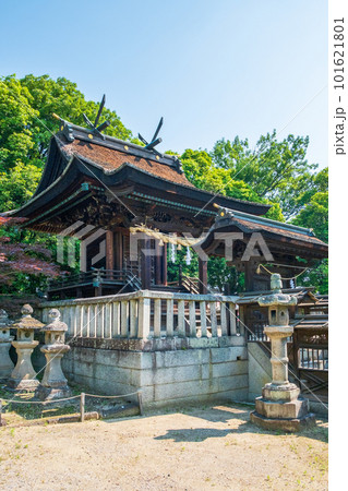 阿智神社（倉敷）：本殿 101621801