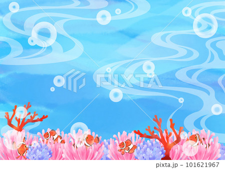 カクレクマノミがいる海中風景 101621967