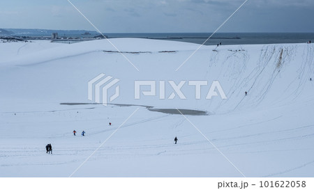 鳥取砂丘の雪景色 101622058