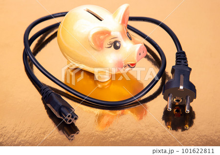 piggy bank and an electric cable plug. Saving electricity. Energy saving concept 101622811