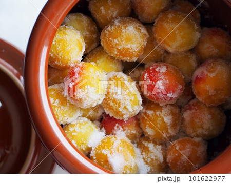 梅干し作り・梅の下漬け 梅干し作り・梅の下漬け 101622977