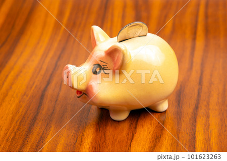 ceramic coin box in the shape of a pig. accumulation of finances and growth of monetary incomes. 101623263