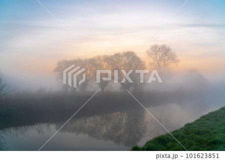 Tree in the mist at the river 101623851