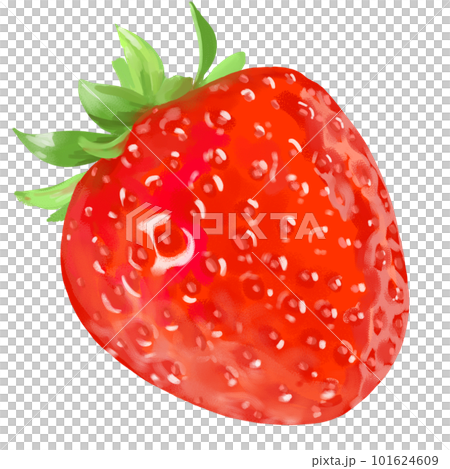 草莓插圖素材（手寫粗糙的觸感） 101624609